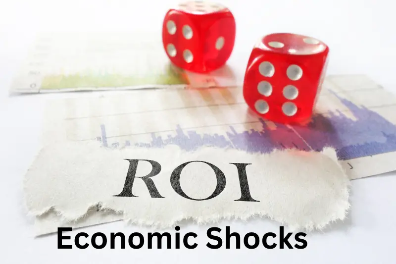 Economic Shocks